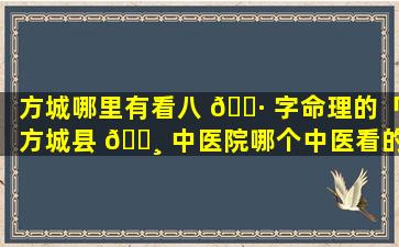 方城哪里有看八 🌷 字命理的「方城县 🕸 中医院哪个中医看的好」